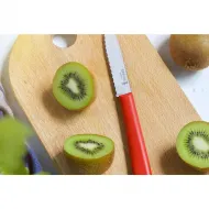 Кухненски нож Opinel Essentiels+ №313, с 10 см назъбено острие, червен