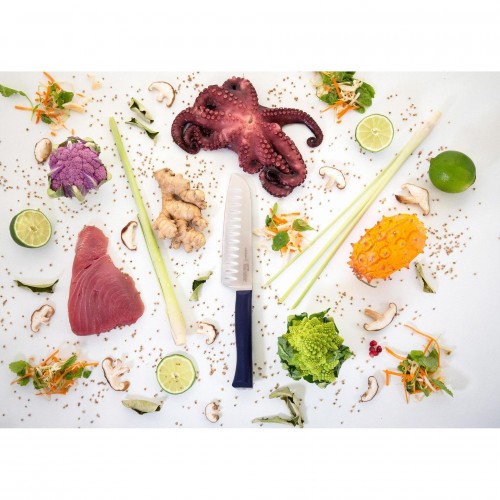 Кухненски нож тип сантоку Opinel - Santoku Intempora, №219, 17см острие